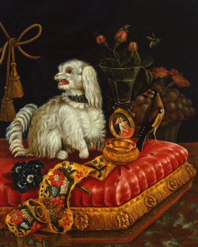 Poodle on a Cushion by V. Behr